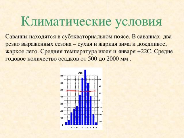 Климатические условия Саванны находятся в субэкваториальном поясе. В саваннах два резко выраженных сезона – сухая и жаркая зима и дождливое, жаркое лето. Средняя температура июля и января +22С. Средне годовое количество осадков от 500 до 2000 мм . 