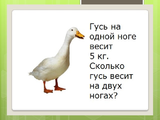 Гуси какой вес. Вес гуся. Сколько весит Гусь. Гусь на одной ноге.