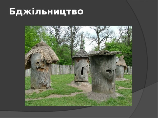 Бджільництво   