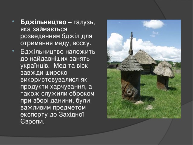 Бджільництво – галузь, яка займається розведенням бджіл для отримання меду, воску. Бджільництво належить до найдавніших занять українців. Мед та віск завжди широко використовувалися як продукти харчування, а також служили оброком при зборі данини, були важливим предметом експорту до Західної Європи.  