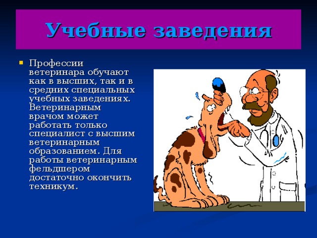 Презентация про ветеринара для детей