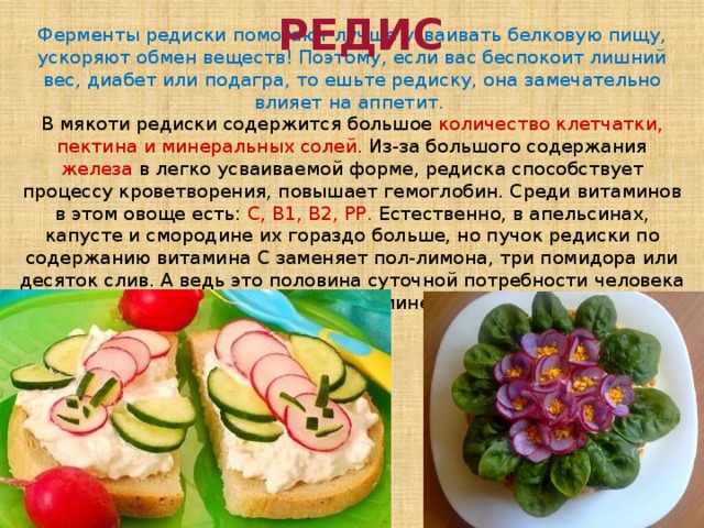 Можно ли редиску при диабете