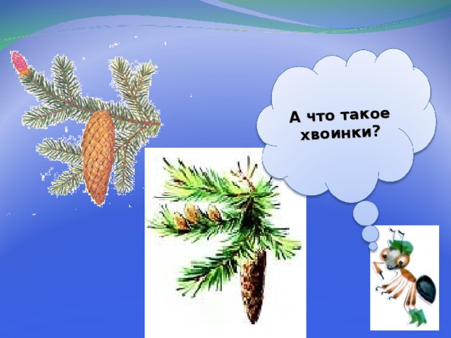 Что такое хвоинки презентация