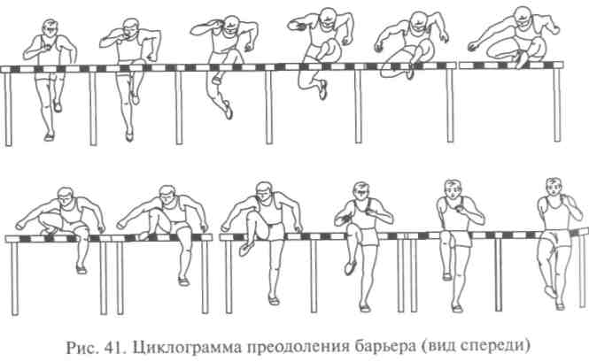 Расстояние между барьерами составляет закончите фразу