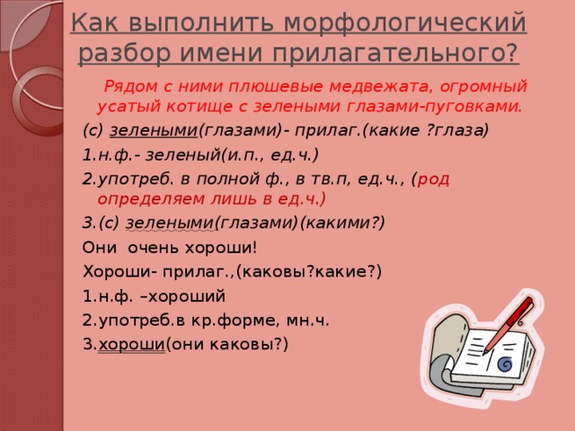 морфологический разбор слова конспект урока 5 класс
