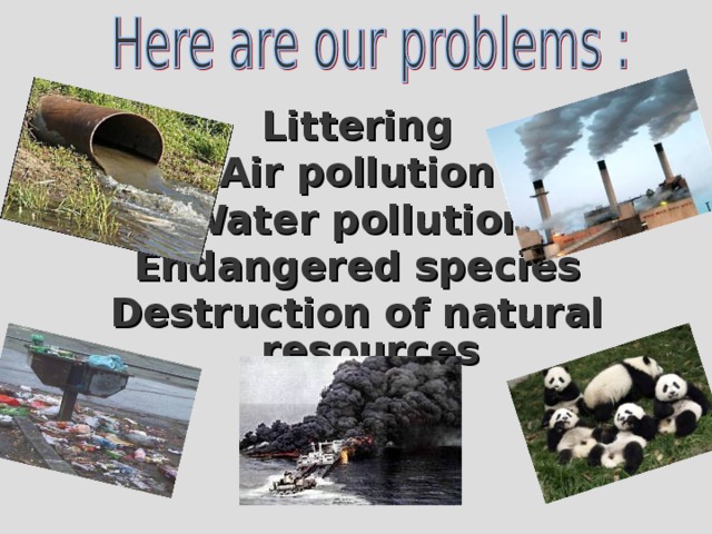 Littering Air pollution Water pollution Endangered species Destruction of natural resources 