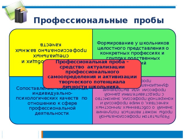 Профессиональная проба проект