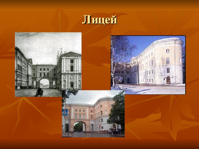 Лицей 