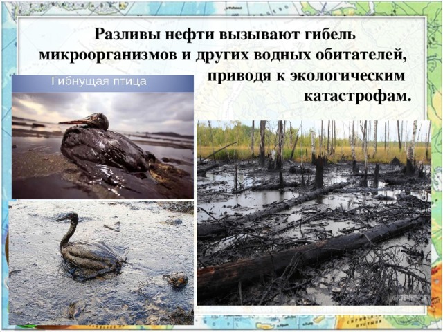 Канадская экологическая катастрофа презентация