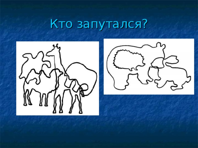 Кто запутался? 