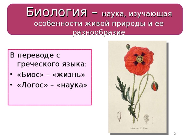 Биология – наука, изучающая особенности живой природы и ее разнообразие В переводе с греческого языка: «Биос» – «жизнь» «Логос» – «наука»  