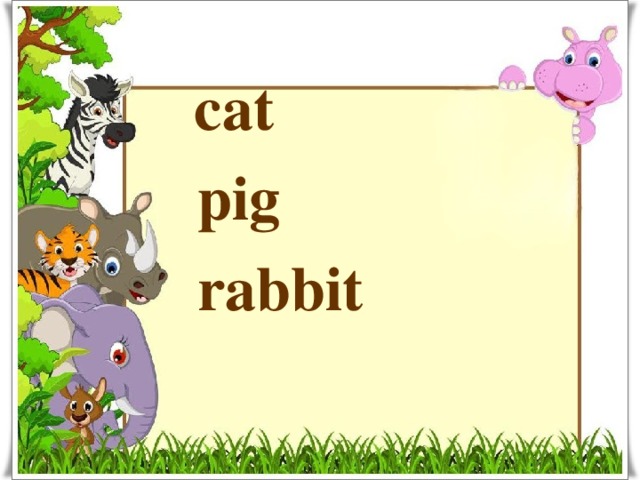  cat  pig  rabbit  