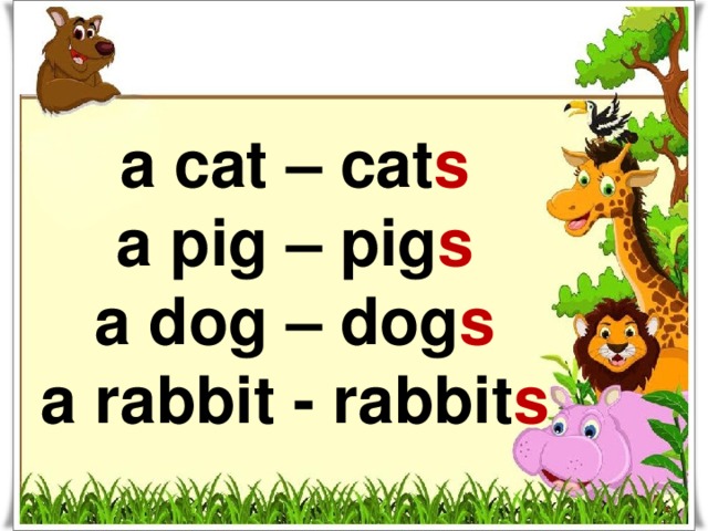a cat – cat s a pig – pig s a dog – dog s a rabbit - rabbit s 