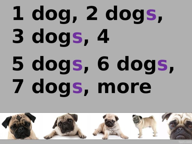 1 dog, 2 dog s , 3 dog s , 4 5 dog s , 6 dog s , 7 dog s , more  