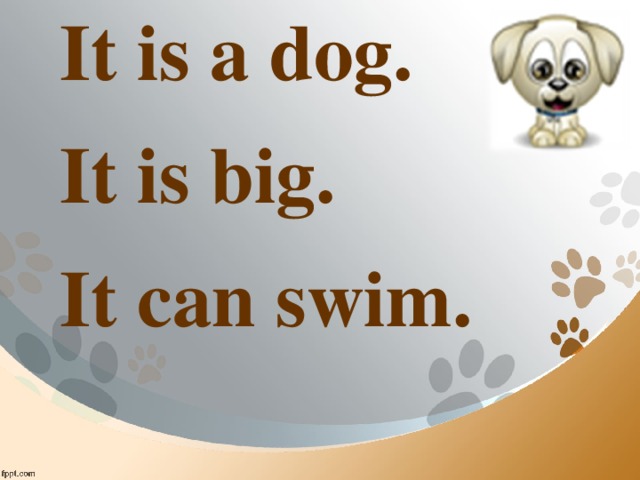 It is a dog. It is big. It can swim. 