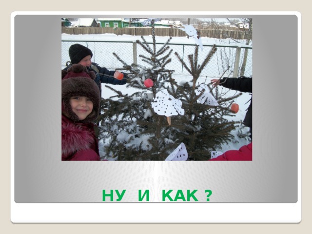  НУ И КАК ? 