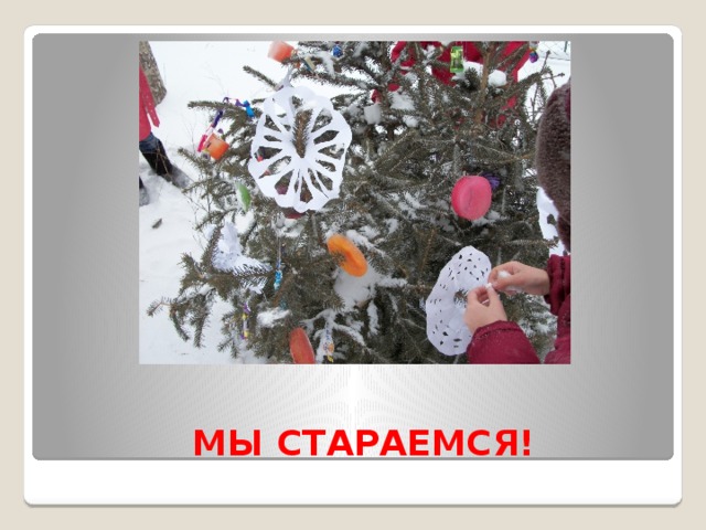  МЫ СТАРАЕМСЯ! 