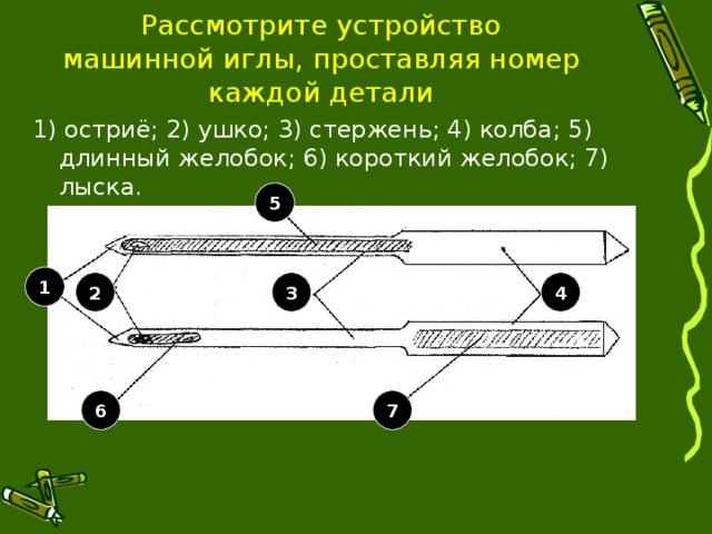 Рассмотрите устройство машинной иглы, проставляя номер каждой детали 1) остриё; 2) ушко; 3) стержень; 4) колба; 5) длинный желобок; 6) короткий желобок; 7) лыска. 5 1 4 3 2 7 6 