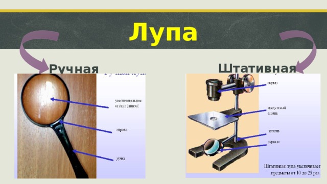 Лупа Штативная Ручная  