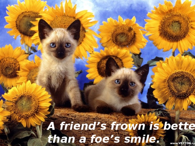 A friend’s frown is better, than a foe’s smile. 