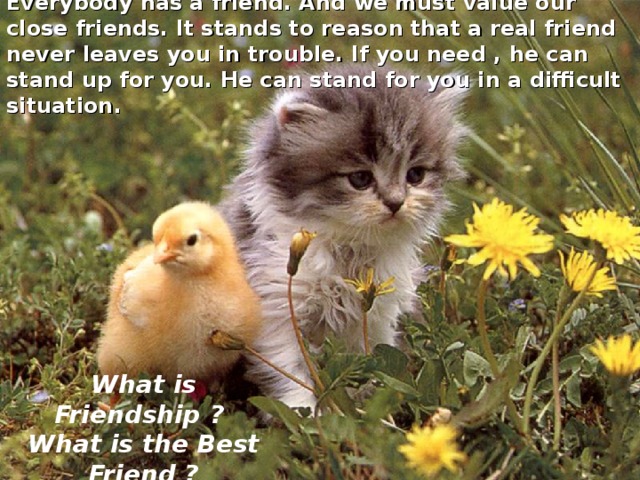 Everybody has a friend. And we must value our close friends. It stands to reason that a real friend never leaves you in trouble. If you need , he can stand up for you. He can stand for you in a difficult situation. What is Friendship ? What is the Best Friend ? 