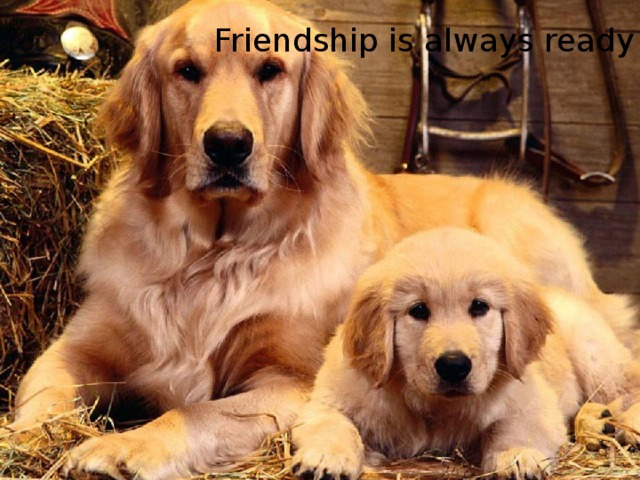 Friendship is always ready to help. 