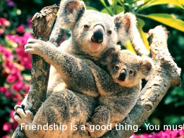 Friendship is a good thing. You must value it.  
