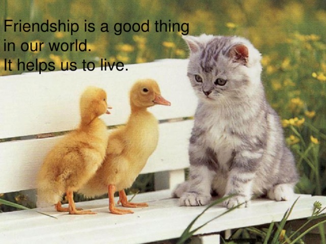Friendship is a good thing in our world.  It helps us to live. Friendship is a good thing in our world.  It helps us to live. 