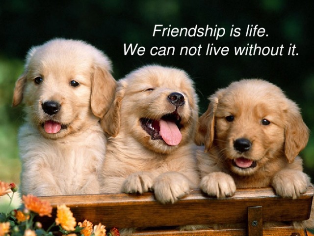Friendship is life. We can not live without it. 