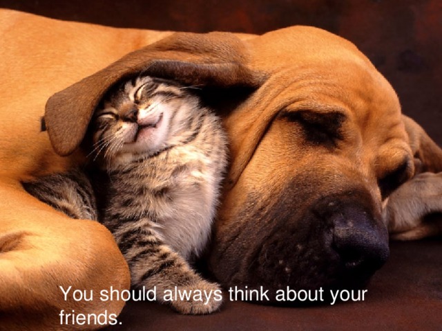 You should always think about your friends. 