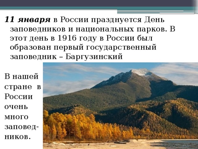 11 января в России празднуется День заповедников и национальных парков. В этот день в 1916 году в России был образован первый государственный заповедник – Баргузинский В нашей стране в России очень много заповед- ников. 