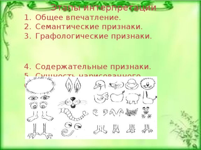 Этапы интерпретации Общее впечатление. Семантические признаки. Графологические признаки. Содержательные признаки. Сущность нарисованного. Название животного. 