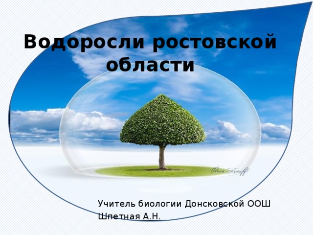 Водоросли ростовской области Учитель биологии Донсковской ООШ Шпетная А.Н. 