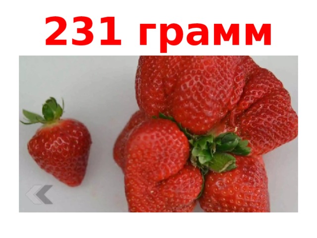 231 грамм 