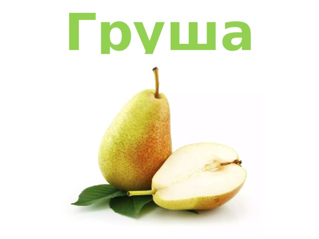 Груша 
