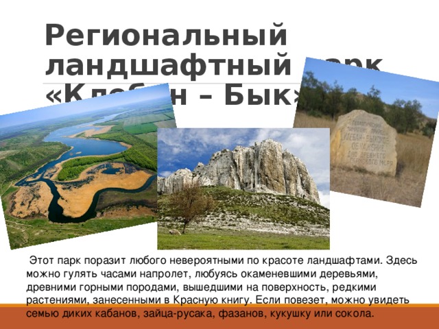 Региональный ландшафтный парк «Клебан – Бык»  Этот парк поразит любого невероятными по красоте ландшафтами. Здесь можно гулять часами напролет, любуясь окаменевшими деревьями, древними горными породами, вышедшими на поверхность, редкими растениями, занесенными в Красную книгу. Если повезет, можно увидеть семью диких кабанов, зайца-русака, фазанов, кукушку или сокола.