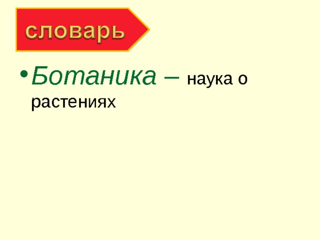 Ботаника – наука о растениях 
