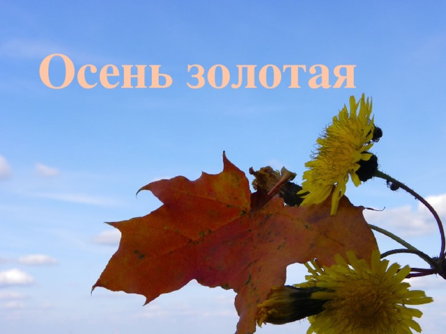    Осень золотая      