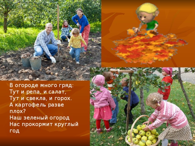   В огороде много гряд: Тут и репа, и салат, Тут и свекла, и горох. А картофель разве плох? Наш зеленый огород Нас прокормит круглый год 