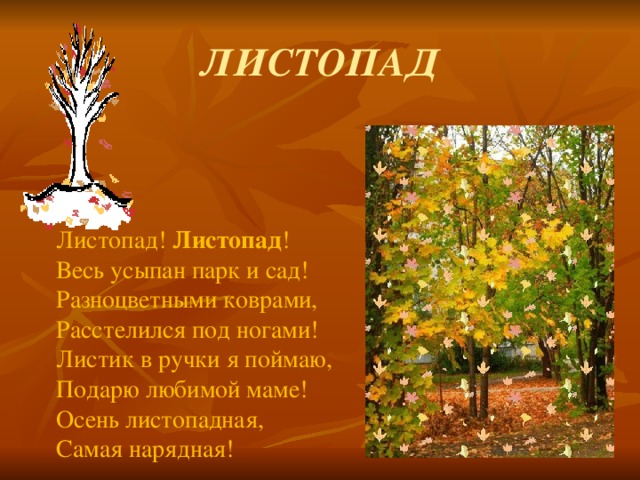 ЛИСТОПАД Листопад!  Листопад !   Весь усыпан парк и сад!  Разноцветными коврами,  Расстелился под ногами!  Листик в ручки я поймаю,  Подарю любимой маме!  Осень листопадная,  Самая нарядная! 