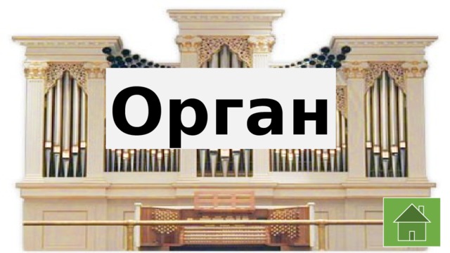 Орган 
