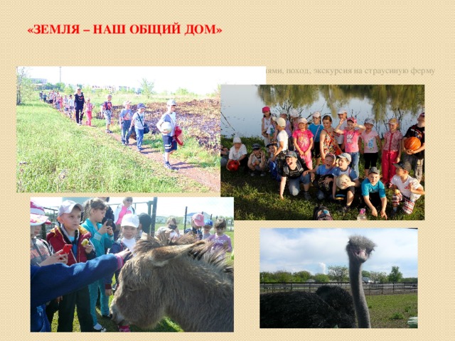 «Земля – наш общий дом» Сотрудничество с одноклассниками, в малых группах, родителями, поход, экскурсия на страусиную ферму 