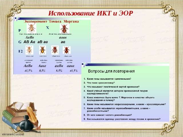 Использование ИКТ и ЭОР   