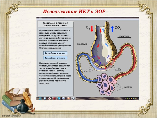 Использование ИКТ и ЭОР 