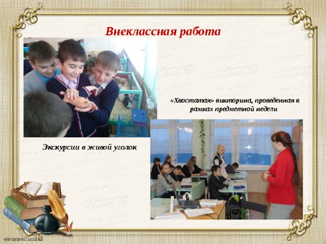 Внеклассная работа «Хвостатая» викторина, проведенная в рамках предметной недели Экскурсии в живой уголок 