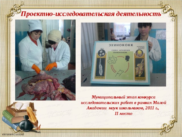 Проектно-исследовательская деятельность Муниципальный этап конкурса исследовательских работ в рамках Малой Академии наук школьников, 2011 г., II место 