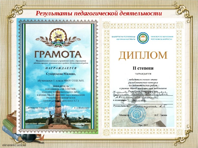Результаты педагогической деятельности 