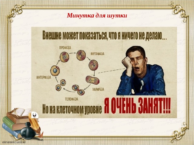 Минутка для шутки 