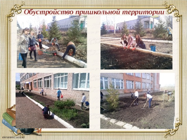 Обустройство пришкольной территории 