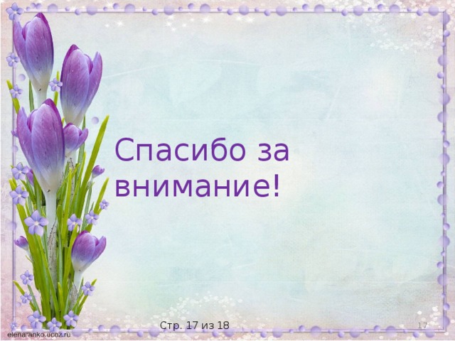Спасибо за внимание!  Стр. 17 из 18 